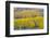 Fall Aspen Trees Near Guardsman's Pass Near Park City, Utah-Howie Garber-Framed Photographic Print