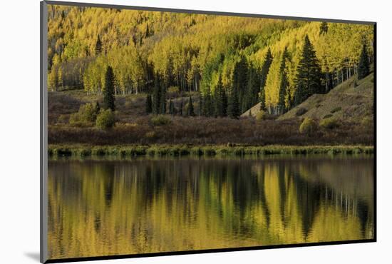 Fall aspen trees reflected on Crystal Lake at sunrise, Ouray, Colorado-Adam Jones-Mounted Photographic Print