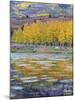 Fall Aspens Reflecting in a Pond-Don Paulson-Mounted Giclee Print