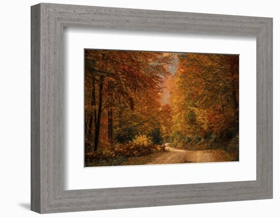 Fall at its finest in Irati Forrest, Navarre, Spain, Europe-David Rocaberti-Framed Photographic Print