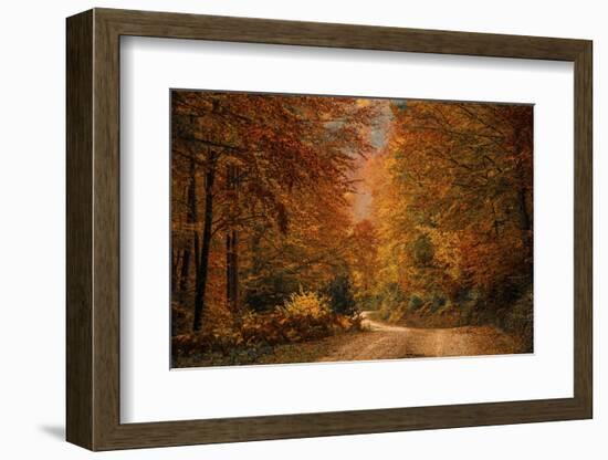 Fall at its finest in Irati Forrest, Navarre, Spain, Europe-David Rocaberti-Framed Photographic Print