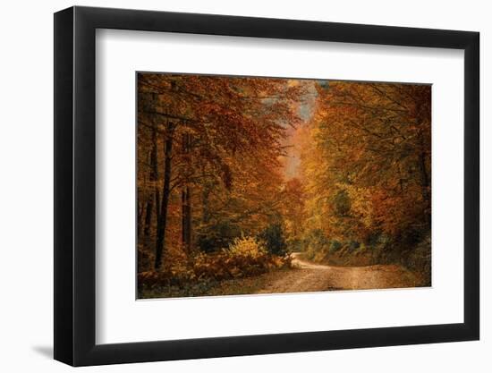 Fall at its finest in Irati Forrest, Navarre, Spain, Europe-David Rocaberti-Framed Photographic Print