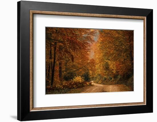 Fall at its finest in Irati Forrest, Navarre, Spain, Europe-David Rocaberti-Framed Photographic Print