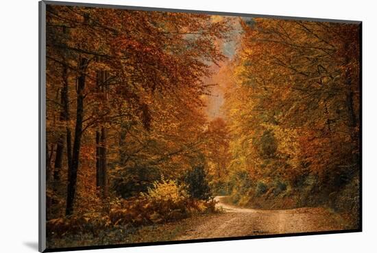 Fall at its finest in Irati Forrest, Navarre, Spain, Europe-David Rocaberti-Mounted Photographic Print