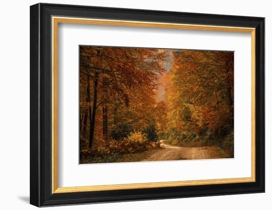 Fall at its finest in Irati Forrest, Navarre, Spain, Europe-David Rocaberti-Framed Photographic Print