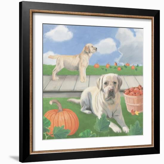 Fall at the Farm II-James Wiens-Framed Art Print