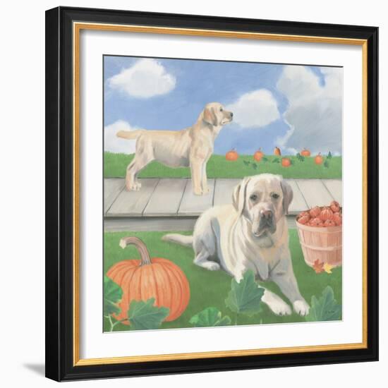 Fall at the Farm II-James Wiens-Framed Art Print