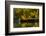Fall at the Lake-Sally Linden-Framed Photographic Print