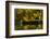 Fall at the Lake-Sally Linden-Framed Photographic Print