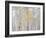 Fall Birch-Andrew Geiger-Framed Photographic Print