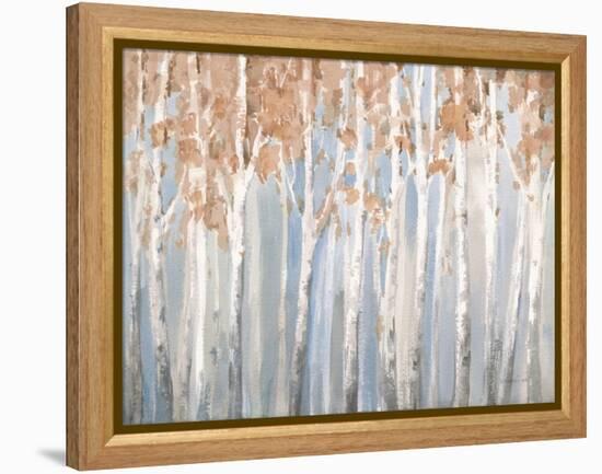 Fall Birches-Danhui Nai-Framed Stretched Canvas