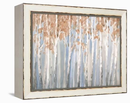 Fall Birches-Danhui Nai-Framed Stretched Canvas