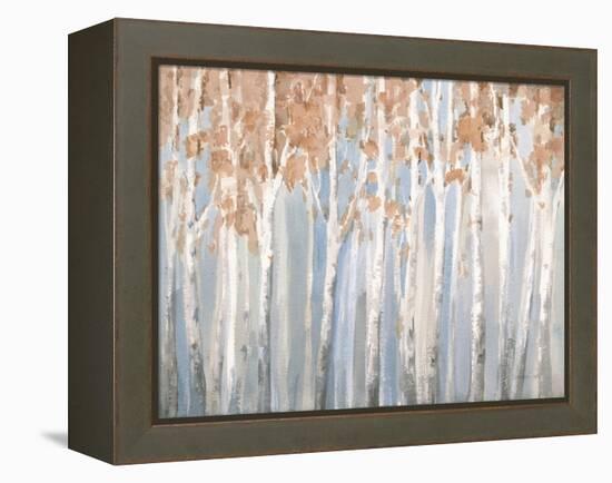 Fall Birches-Danhui Nai-Framed Stretched Canvas