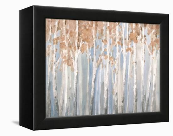 Fall Birches-Danhui Nai-Framed Stretched Canvas