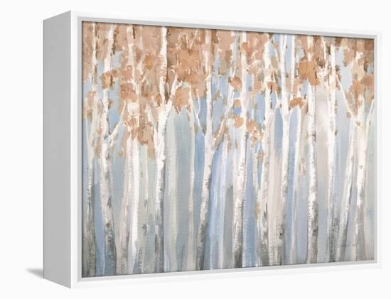 Fall Birches-Danhui Nai-Framed Stretched Canvas