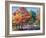 Fall Brilliance I-Todd Williams-Framed Art Print