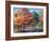 Fall Brilliance I-Todd Williams-Framed Art Print