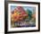 Fall Brilliance I-Todd Williams-Framed Art Print