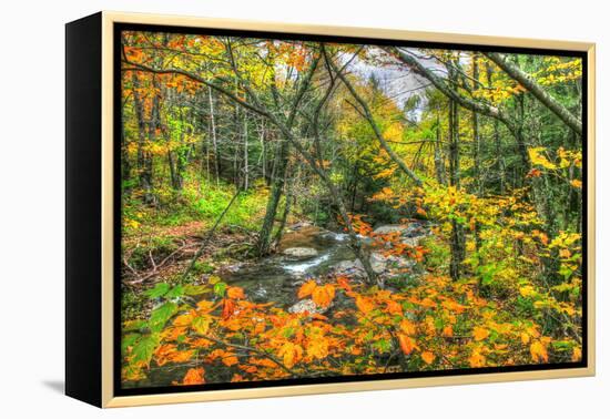Fall Brook Orange Foliage-Robert Goldwitz-Framed Premier Image Canvas