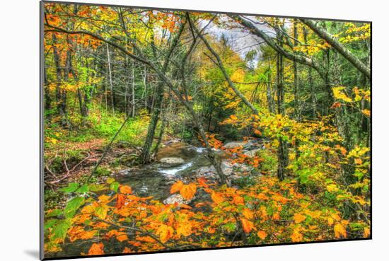 Fall Brook Orange Foliage-Robert Goldwitz-Mounted Photographic Print