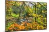 Fall Brook Orange Foliage-Robert Goldwitz-Mounted Photographic Print