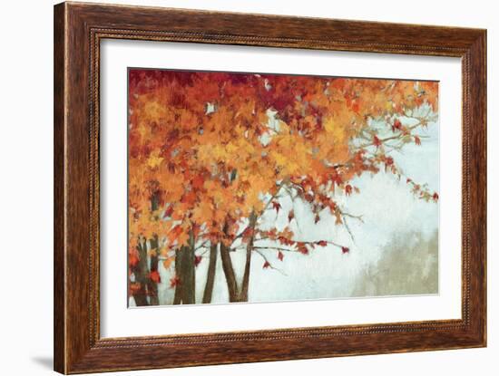 Fall Canopy I-Andrew Michaels-Framed Premium Giclee Print