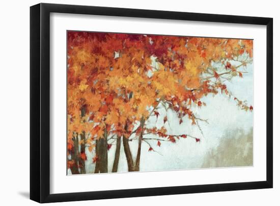 Fall Canopy I-Andrew Michaels-Framed Premium Giclee Print