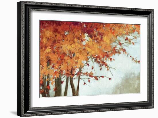 Fall Canopy I-Andrew Michaels-Framed Premium Giclee Print