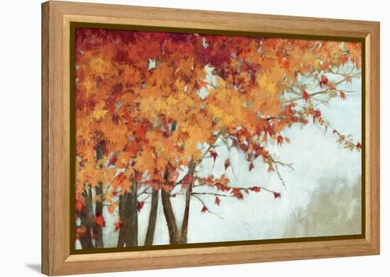 Fall Canopy I-Andrew Michaels-Framed Stretched Canvas