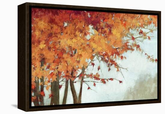 Fall Canopy I-Andrew Michaels-Framed Stretched Canvas