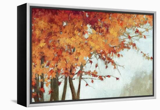 Fall Canopy I-Andrew Michaels-Framed Stretched Canvas