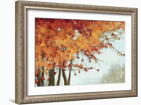 Fall Canopy I-Andrew Michaels-Framed Art Print