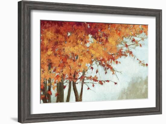 Fall Canopy I-Andrew Michaels-Framed Art Print