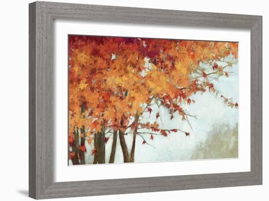 Fall Canopy I-Andrew Michaels-Framed Art Print