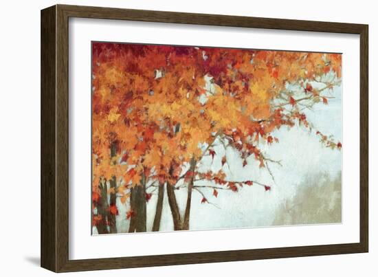 Fall Canopy I-Andrew Michaels-Framed Art Print