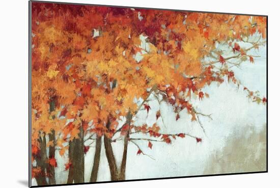 Fall Canopy I-Andrew Michaels-Mounted Art Print