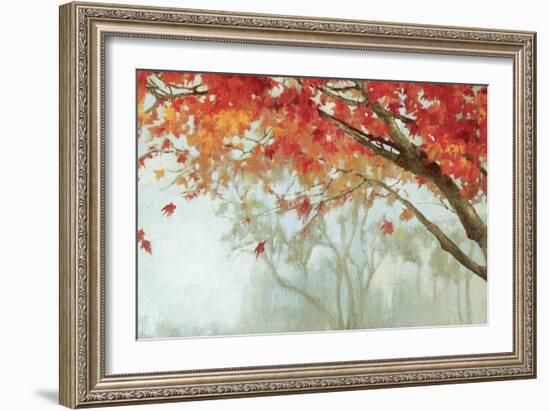 Fall Canopy II-Andrew Michaels-Framed Premium Giclee Print