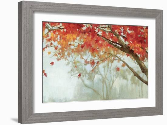 Fall Canopy II-Andrew Michaels-Framed Premium Giclee Print