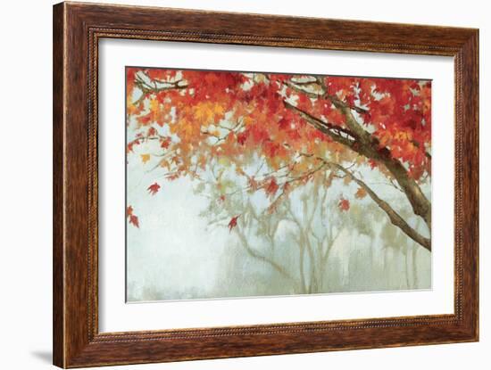 Fall Canopy II-Andrew Michaels-Framed Premium Giclee Print