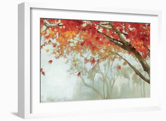 Fall Canopy II-Andrew Michaels-Framed Premium Giclee Print