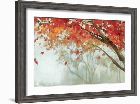 Fall Canopy II-Andrew Michaels-Framed Art Print