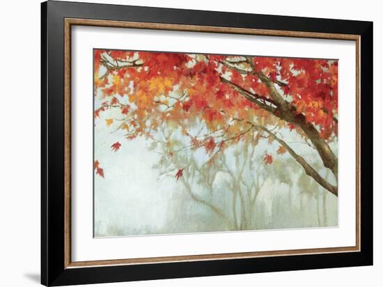 Fall Canopy II-Andrew Michaels-Framed Art Print