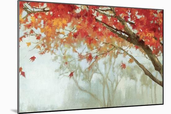 Fall Canopy II-Andrew Michaels-Mounted Art Print