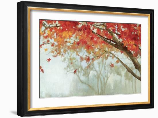 Fall Canopy II-Andrew Michaels-Framed Art Print