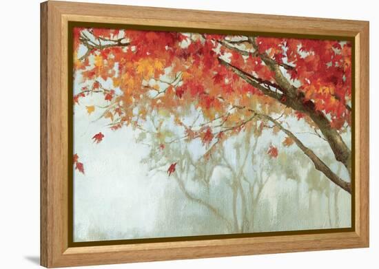 Fall Canopy II-Andrew Michaels-Framed Stretched Canvas