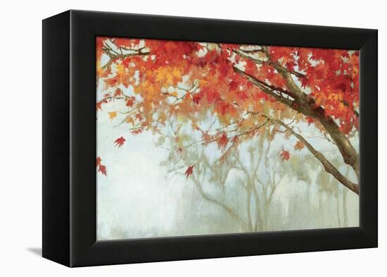 Fall Canopy II-Andrew Michaels-Framed Stretched Canvas