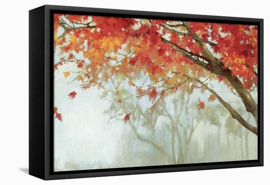 Fall Canopy II-Andrew Michaels-Framed Stretched Canvas