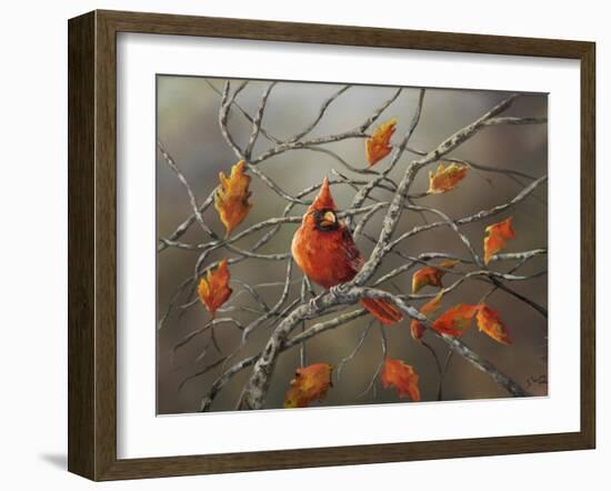 Fall Cardinal-Sarah Davis-Framed Giclee Print