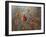 Fall Cardinal-Sarah Davis-Framed Giclee Print