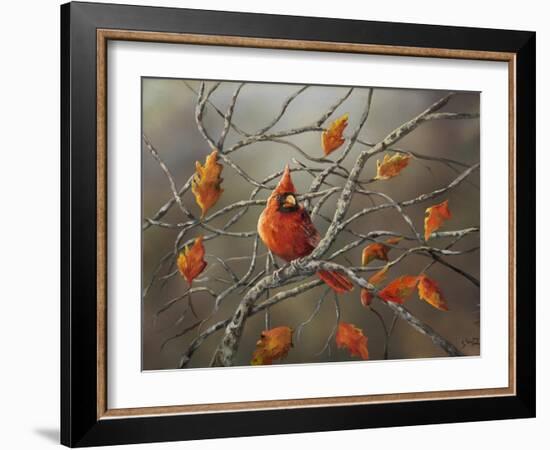 Fall Cardinal-Sarah Davis-Framed Giclee Print